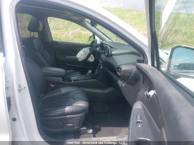 5NMS3CAD7LH245112 Hyundai Santa Fe