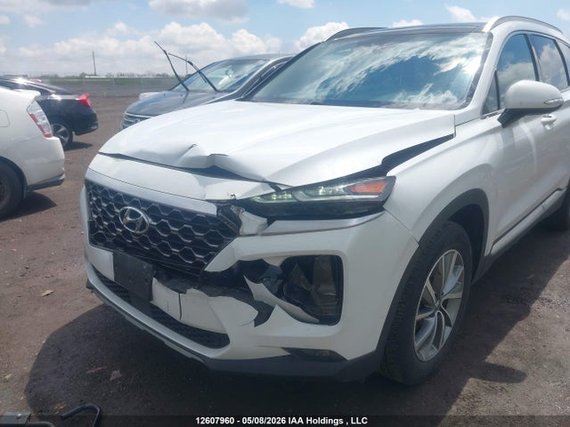 5NMS3CAD7LH245112 Hyundai Santa Fe