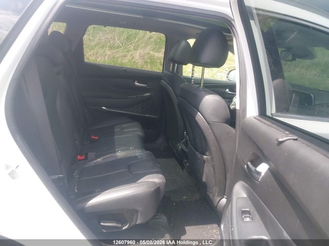 5NMS3CAD7LH245112 Hyundai Santa Fe