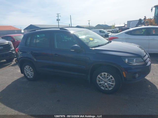 WVGJV7AX6GW064217 Volkswagen Tiguan Comfortline/highline/special Edition