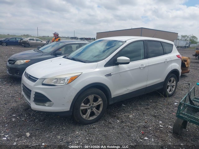 Продажа на аукционе авто 2014 Ford Escape Se, vin: 1FMCU9GX4EUD20894, номер лота: 12608011