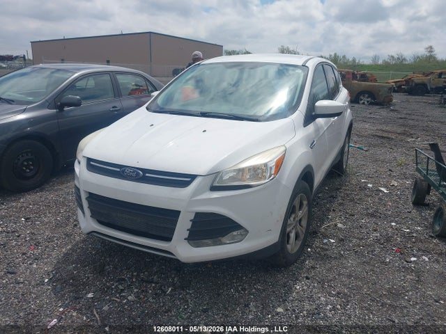 Продажа на аукционе авто 2014 Ford Escape Se, vin: 1FMCU9GX4EUD20894, номер лота: 12608011