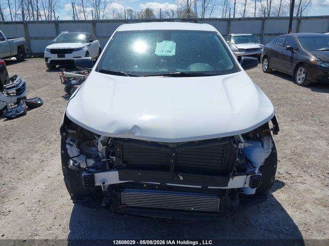 Продаж на аукціоні авто 2019 Chevrolet Equinox Ls, vin: 2GNAXSEV7K6167084, номер лоту: 12608029