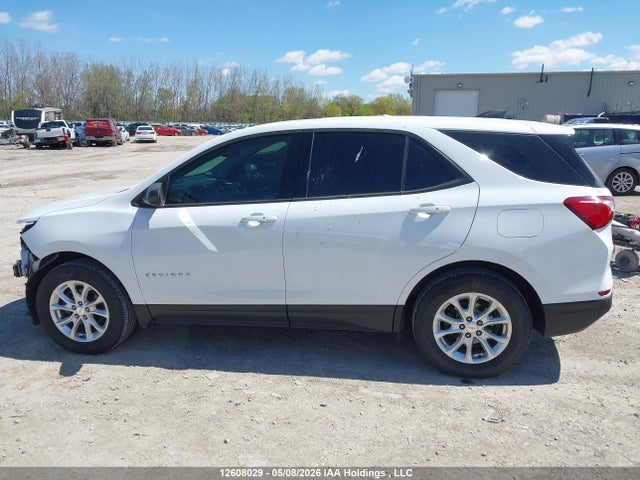 Продаж на аукціоні авто 2019 Chevrolet Equinox Ls, vin: 2GNAXSEV7K6167084, номер лоту: 12608029