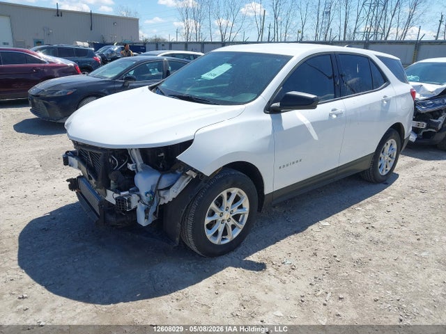 Продаж на аукціоні авто 2019 Chevrolet Equinox Ls, vin: 2GNAXSEV7K6167084, номер лоту: 12608029