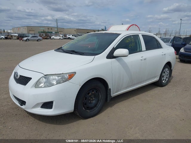 12608181 :رقم المزاد ، 2T1BU40E59C005701 vin ، 2009 Toyota Corolla Ce مزاد بيع