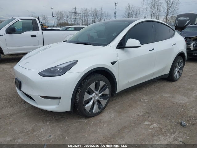 2023 Tesla Model Y მანქანა იყიდება აუქციონზე, vin: 7SAYGDEE0PF776508, აუქციონის ნომერი: 12608241