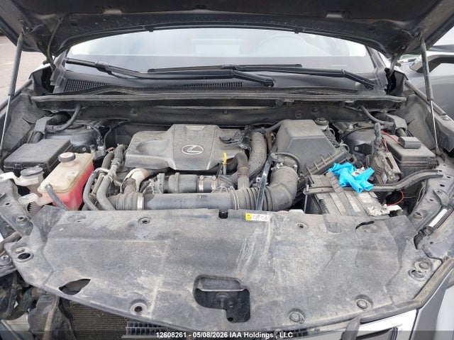 2021 Lexus Nx 300 მანქანა იყიდება აუქციონზე, vin: JTJGARDZXM2244433, აუქციონის ნომერი: 12608261