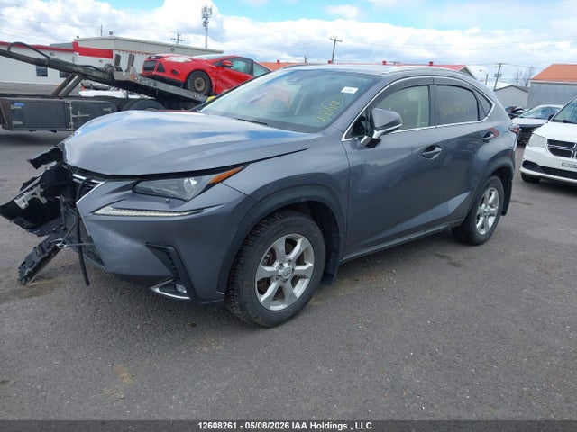 2021 Lexus Nx 300 მანქანა იყიდება აუქციონზე, vin: JTJGARDZXM2244433, აუქციონის ნომერი: 12608261