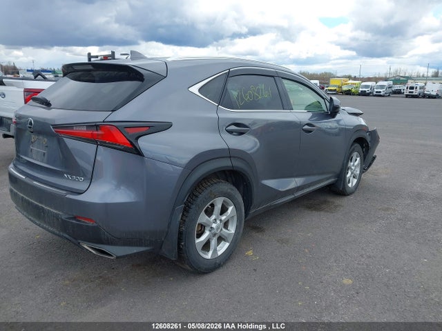 2021 Lexus Nx 300 მანქანა იყიდება აუქციონზე, vin: JTJGARDZXM2244433, აუქციონის ნომერი: 12608261