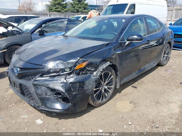 4T1B21HK4KU513287 Toyota Camry Hybrid/le/xle/se