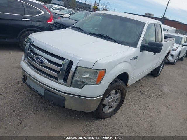 Продаж на аукціоні авто 2011 Ford F-150 Xlt, vin: 1FTEX1EM4BFC78595, номер лоту: 12608356