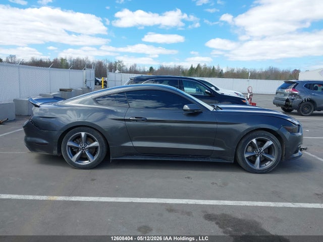 12608404 :رقم المزاد ، 1FA6P8AM3H5241884 vin ، 2017 Ford Mustang V6 مزاد بيع