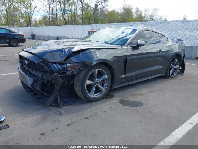 12608404 :رقم المزاد ، 1FA6P8AM3H5241884 vin ، 2017 Ford Mustang V6 مزاد بيع