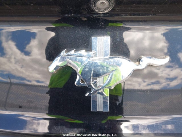 12608404 :رقم المزاد ، 1FA6P8AM3H5241884 vin ، 2017 Ford Mustang V6 مزاد بيع