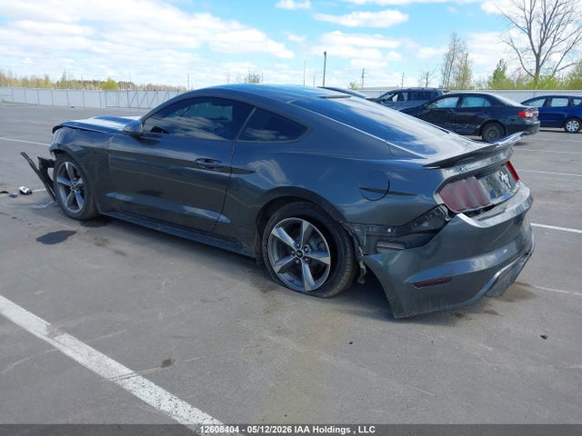 12608404 :رقم المزاد ، 1FA6P8AM3H5241884 vin ، 2017 Ford Mustang V6 مزاد بيع