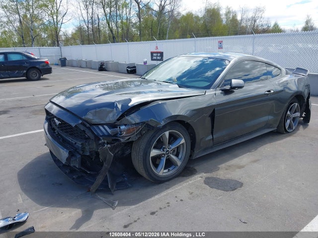 12608404 :رقم المزاد ، 1FA6P8AM3H5241884 vin ، 2017 Ford Mustang V6 مزاد بيع