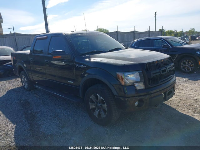 Продаж на аукціоні авто 2011 Ford F-150 Fx4, vin: 1FTFW1ET0BFA52990, номер лоту: 12608478