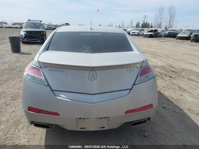 Auction sale of the 2010 Acura Tl, vin: 19UUA8F54AA800586, lot number: 12608493