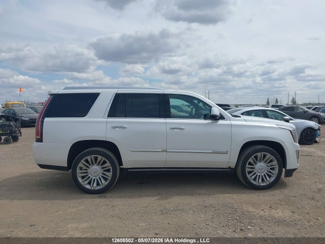 Продаж на аукціоні авто 2019 Cadillac Escalade Platinum, vin: 1GYS4DKJXKR351971, номер лоту: 12608502