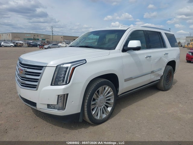 Продаж на аукціоні авто 2019 Cadillac Escalade Platinum, vin: 1GYS4DKJXKR351971, номер лоту: 12608502