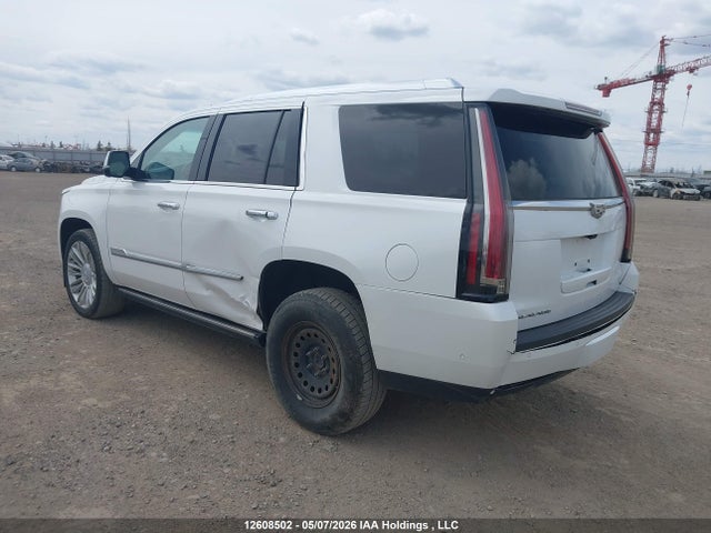 Продаж на аукціоні авто 2019 Cadillac Escalade Platinum, vin: 1GYS4DKJXKR351971, номер лоту: 12608502