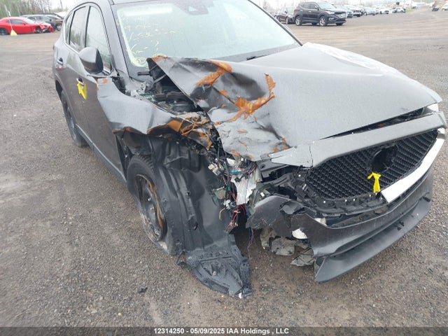 12314250 :رقم المزاد ، JM3KFABL4K0530552 vin ، 2019 Mazda Cx-5 Gx مزاد بيع