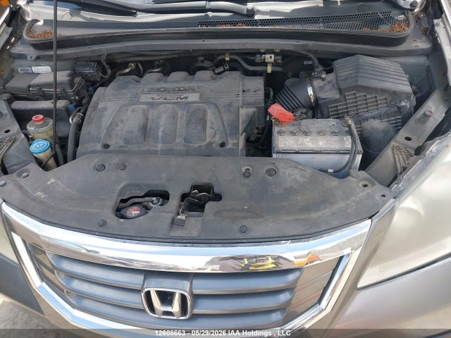 Продаж на аукціоні авто 2010 Honda Odyssey Ex-l/touring, vin: 5FNRL3H68AB505358, номер лоту: 12608663