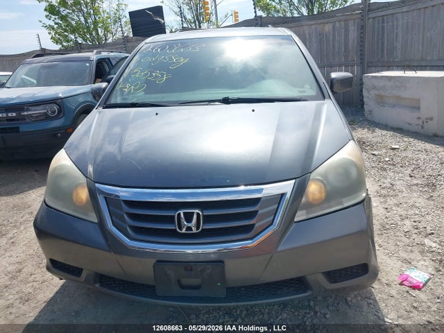 Продаж на аукціоні авто 2010 Honda Odyssey Ex-l/touring, vin: 5FNRL3H68AB505358, номер лоту: 12608663