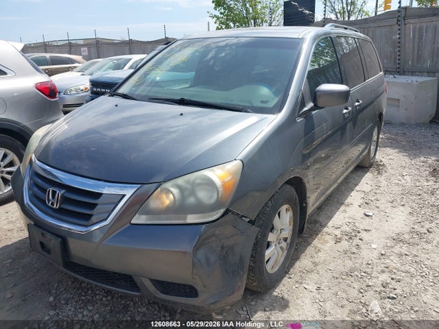Продаж на аукціоні авто 2010 Honda Odyssey Ex-l/touring, vin: 5FNRL3H68AB505358, номер лоту: 12608663