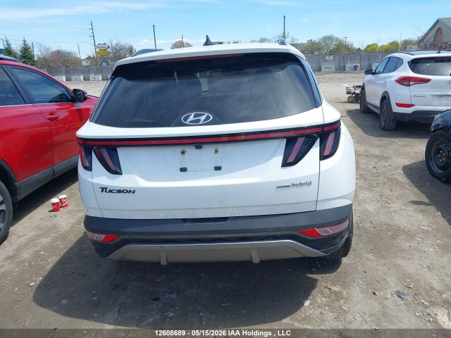 Продажа на аукционе авто 2023 Hyundai Tucson Luxury Hybrid Awd, vin: KM8JCCA14PU114389, номер лота: 12608689