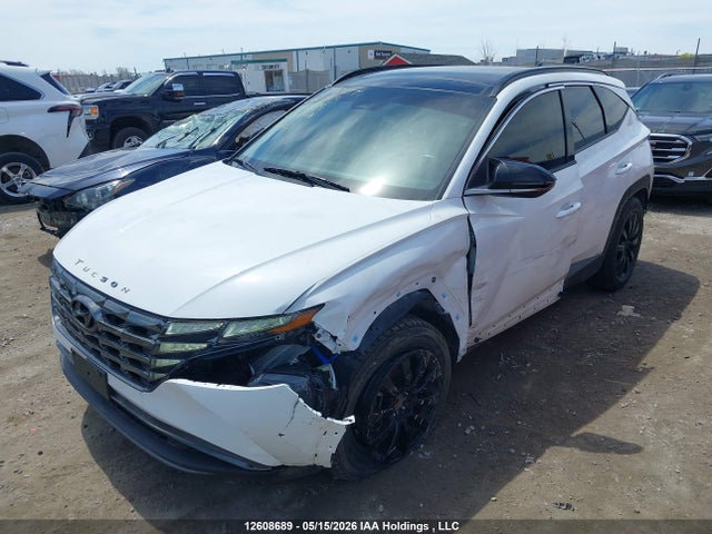 Продажа на аукционе авто 2023 Hyundai Tucson Luxury Hybrid Awd, vin: KM8JCCA14PU114389, номер лота: 12608689