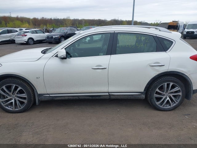 JN1BJ0RRXGM265571 Infiniti QX50