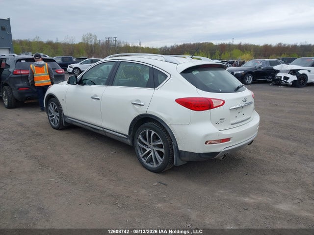 JN1BJ0RRXGM265571 Infiniti QX50