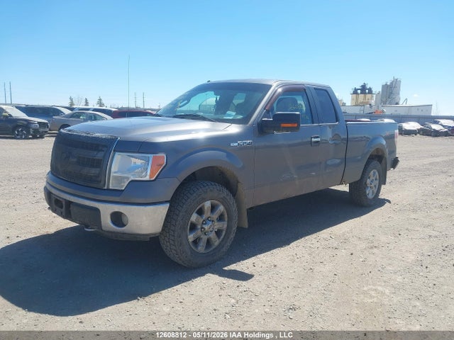 Продажа на аукционе авто 2013 Ford F150 Super Cab, vin: 1FTFX1EF8DKD11825, номер лота: 12608812