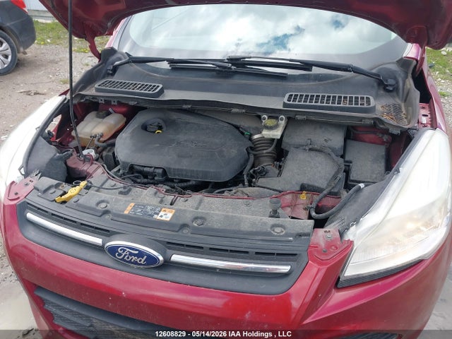 Продаж на аукціоні авто 2014 Ford Escape Se, vin: 1FMCU0GX0EUE30417, номер лоту: 12608829