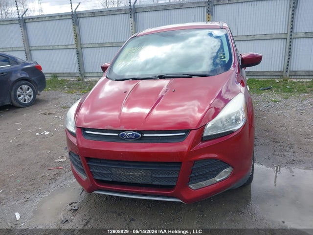 Продаж на аукціоні авто 2014 Ford Escape Se, vin: 1FMCU0GX0EUE30417, номер лоту: 12608829