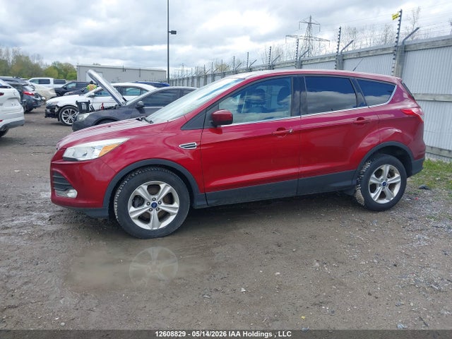 Продаж на аукціоні авто 2014 Ford Escape Se, vin: 1FMCU0GX0EUE30417, номер лоту: 12608829