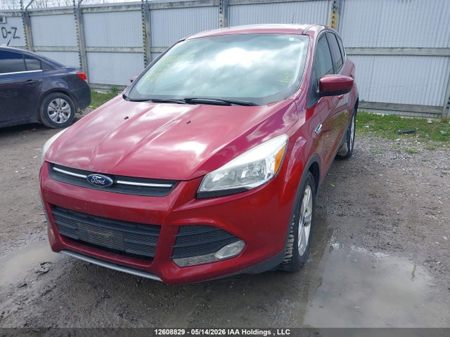 Продаж на аукціоні авто 2014 Ford Escape Se, vin: 1FMCU0GX0EUE30417, номер лоту: 12608829