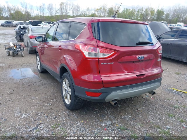 Продаж на аукціоні авто 2014 Ford Escape Se, vin: 1FMCU0GX0EUE30417, номер лоту: 12608829