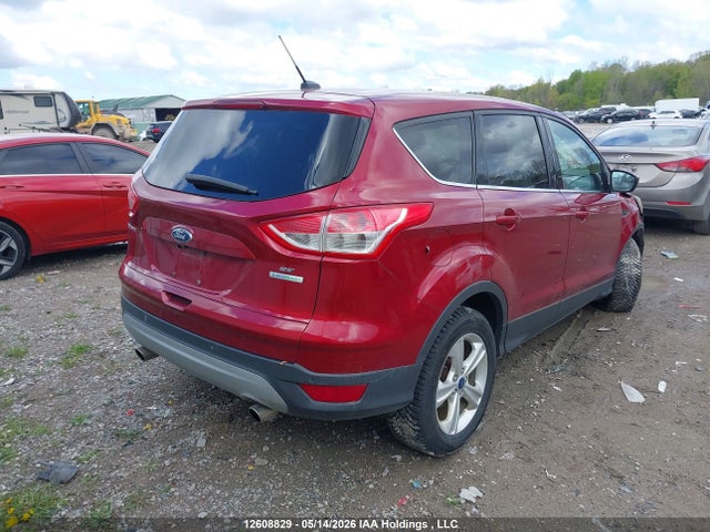 Продаж на аукціоні авто 2014 Ford Escape Se, vin: 1FMCU0GX0EUE30417, номер лоту: 12608829