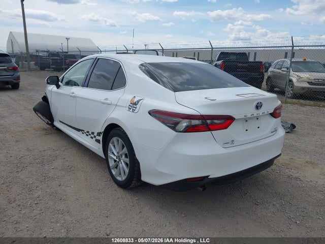 12608833 :رقم المزاد ، 4T1C31AK1PU604326 vin ، 2023 Toyota Camry Le مزاد بيع