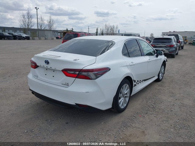 12608833 :رقم المزاد ، 4T1C31AK1PU604326 vin ، 2023 Toyota Camry Le مزاد بيع