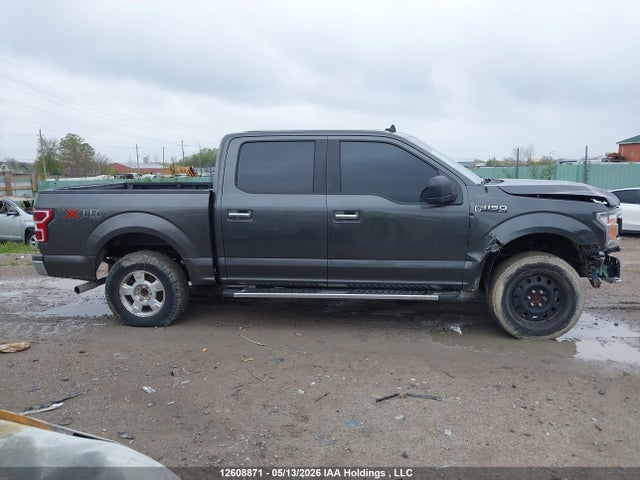 Продажа на аукционе авто 2020 Ford F-150, vin: 1FTEW1EB2LKF43119, номер лота: 12608871