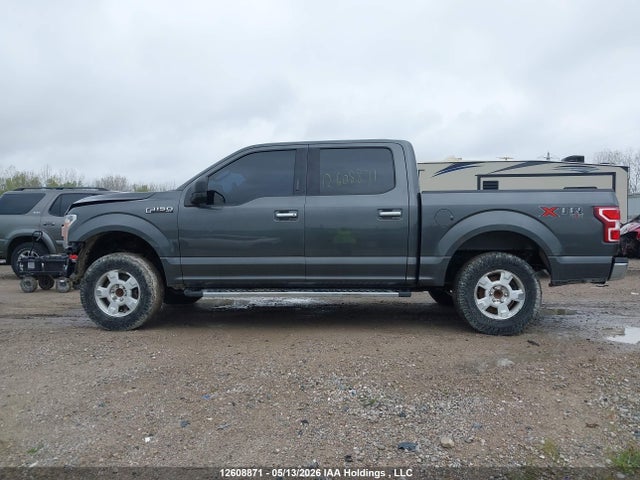 Продажа на аукционе авто 2020 Ford F-150, vin: 1FTEW1EB2LKF43119, номер лота: 12608871