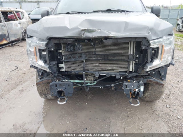 Продажа на аукционе авто 2020 Ford F-150, vin: 1FTEW1EB2LKF43119, номер лота: 12608871