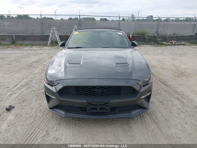 Ford Mustang 2019 1FATP8UH1K5183850 Image 10