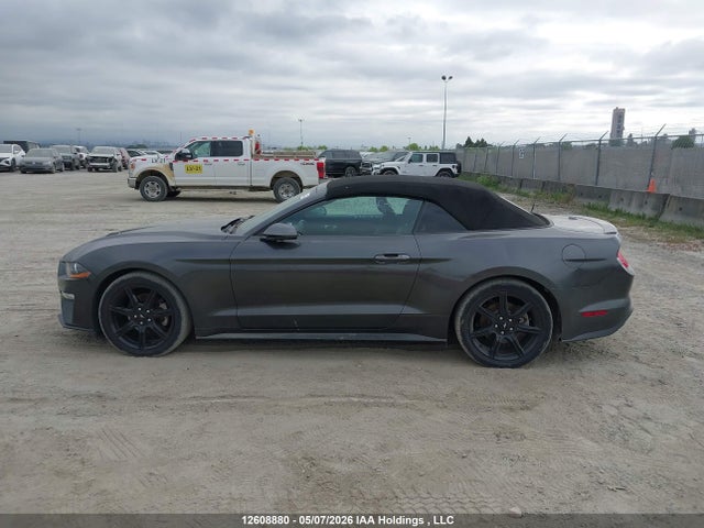 Ford Mustang 2019 1FATP8UH1K5183850 Image 11