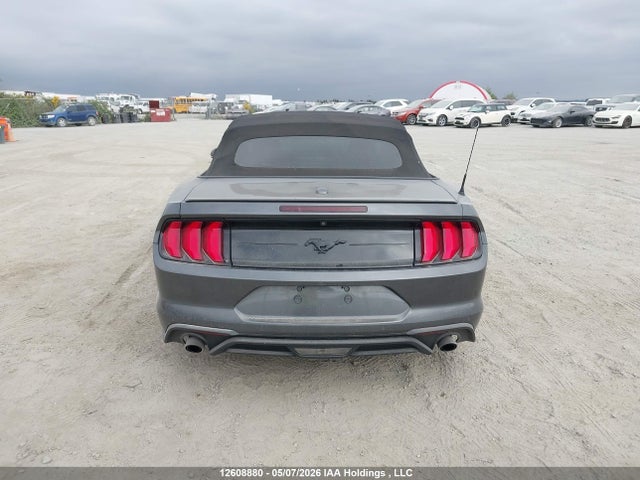 Ford Mustang 2019 1FATP8UH1K5183850 Image 13