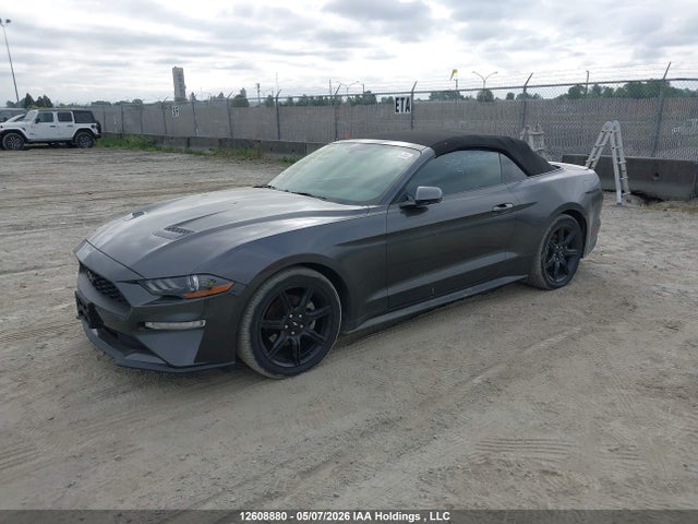 Ford Mustang 2019 1FATP8UH1K5183850 Image 2